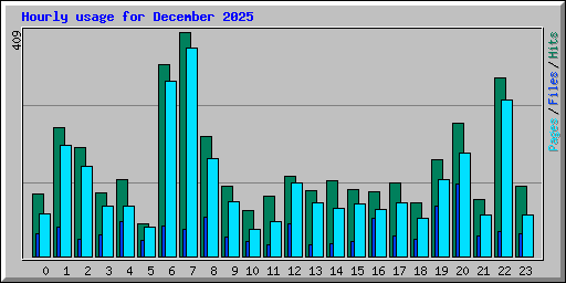 Hourly usage for December 2025