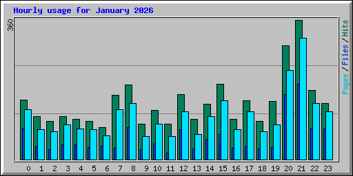 Hourly usage for January 2026